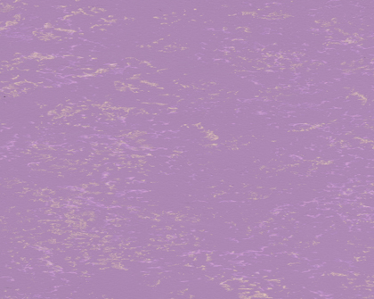 帕瓦蒂尼--紫罗兰（金色+紫色）